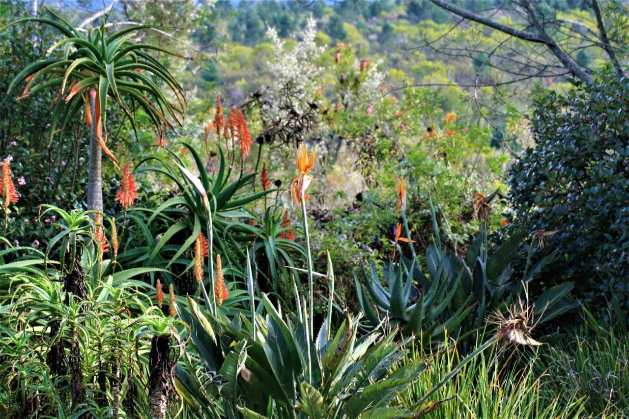 Colourful Bnb The Crags Esterno foto